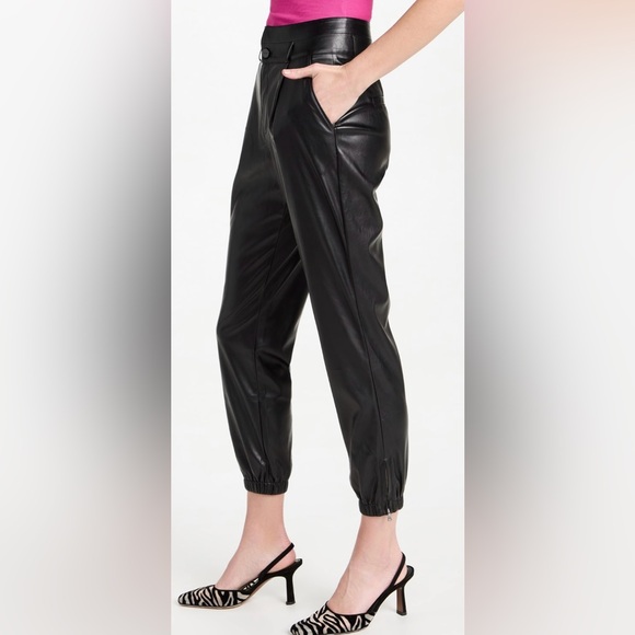 NWOT Paige High Rise Pleated Mayslie Joggers Size 2 - Picture 4 of 16